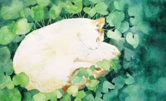 18年5月赛事安排_2018年赛事